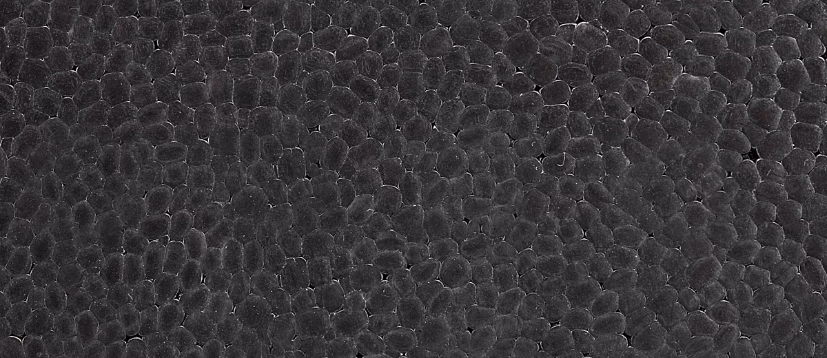 Expanded Polypropylene Expanded Polypropylene