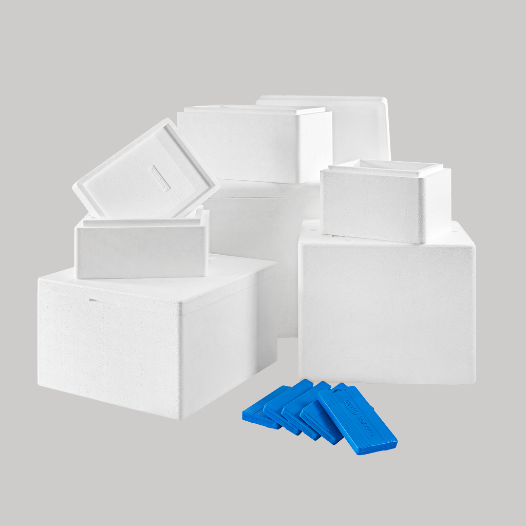 Übersicht verschiedener Kühlboxen aus Styropor und Eis-Akkus