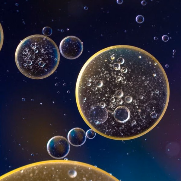 Biomass Balance Styropor® Biomass Balance Styropor®